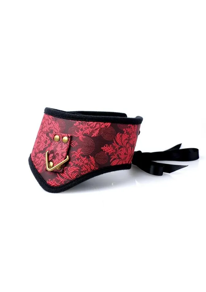 Frisky Red Dragon 5 Piece Satin Bondage Frisky Couples